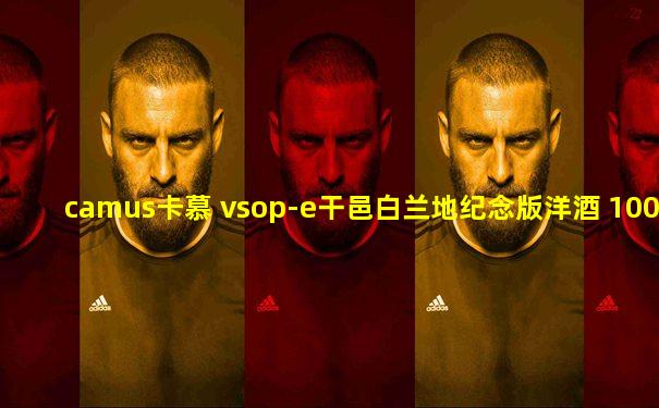 camus卡慕 vsop-e干邑白兰地纪念版洋酒 1000ml
